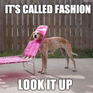 Meet your Posher, Devon